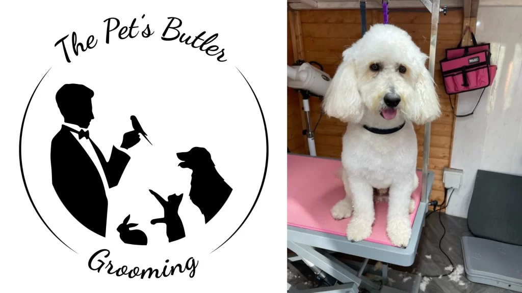 The Pet's Butler logo next to white dog after grooming treatment