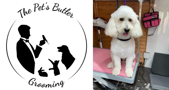 The Pet's Butler logo next to white dog after grooming treatment