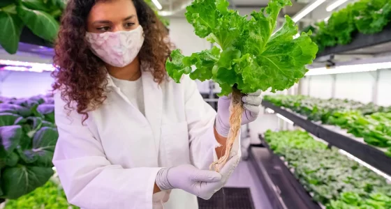 GrowDudes: woman holding plant in hydroponics lab