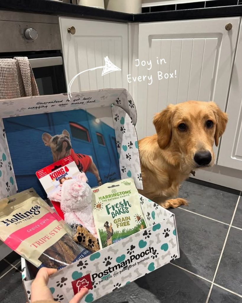 Dog next to Postman Pooch subscription box with toys, treats and dog gifts